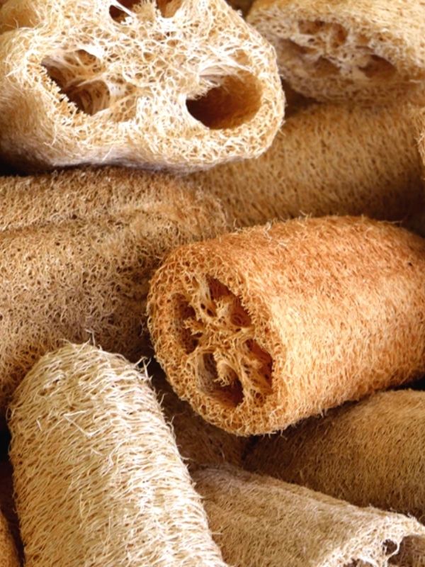 Loofah